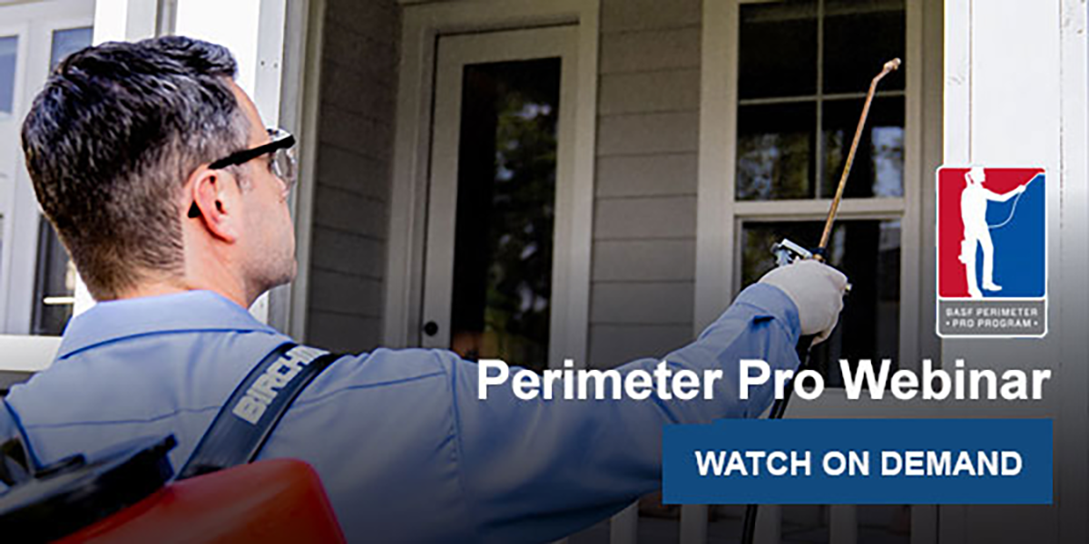  Get Ahead of Perimeter Pests of the Fall Season