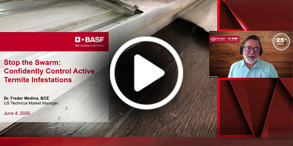 Stop the Swarm: Confidently Control Active Termite Infestations
