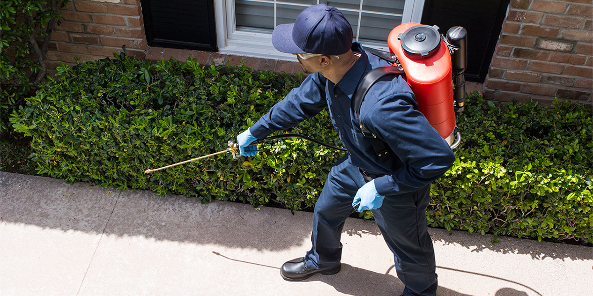 Commercial Disinfecting In Bellevue