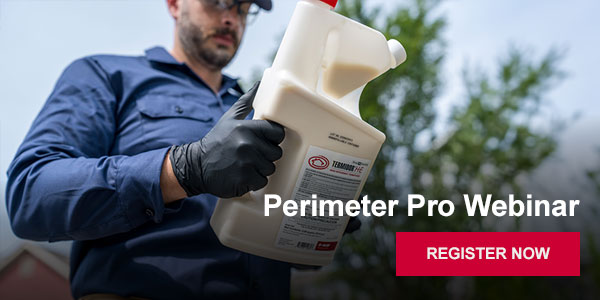 Perimeter Pro Webinar