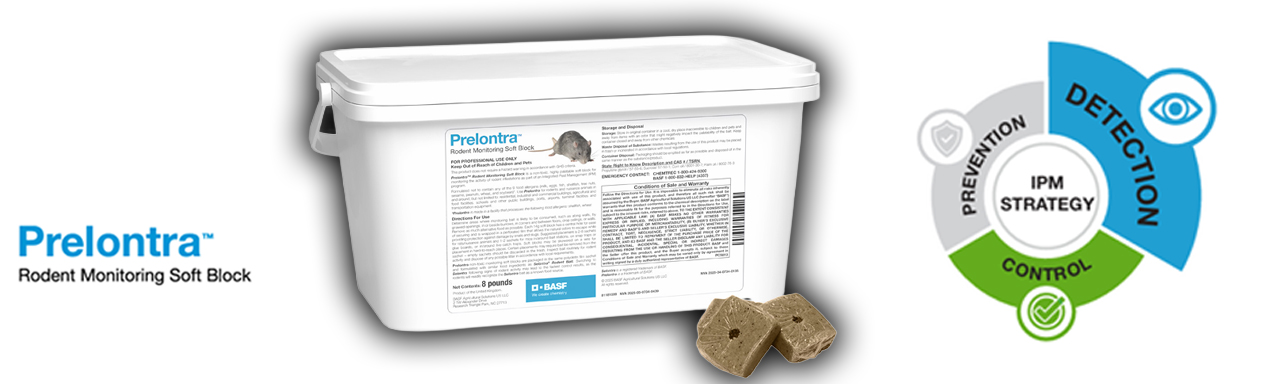 Prelontra