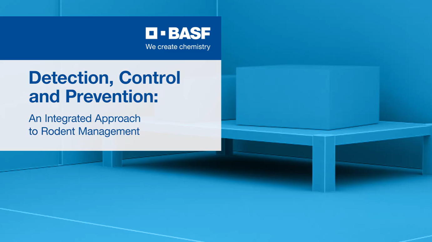 Learn more about our Integrated Approach